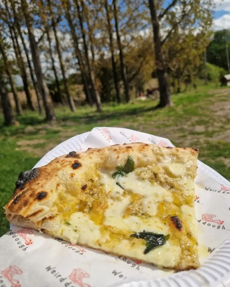 Pizza slice